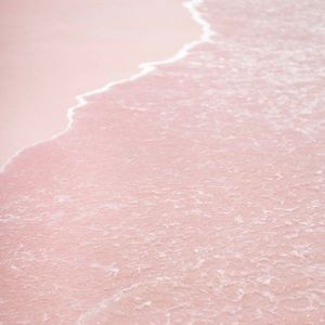 Meet your Posher, Natalia